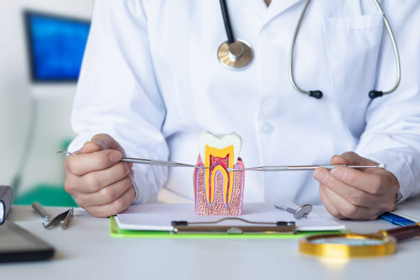 Best Pediatric Emergency Dentist in Limesa, CA